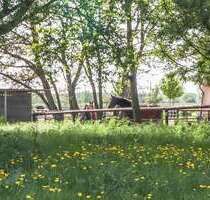 Wohnung zum Kaufen in Stahnsdorf-Schenkenhorst 242.000,00 € 62 m²