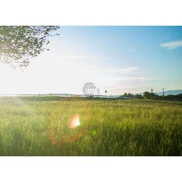 Foto - Grundstück zu verkaufen in Ganderkesee 149.000,00 € 463 m²