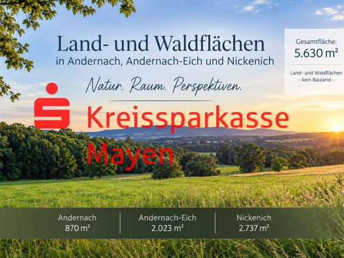 Foto - Grundstück in Andernach 8.445,00 € 5630 m²