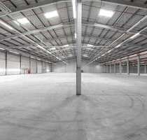 Halle in Schramberg 11.700,00 € 2518.1 m²