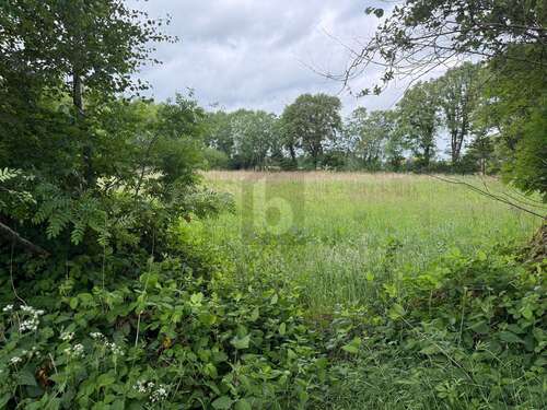 Foto - Grundstück zu verkaufen in Lutzhorn 350.000,00 € 10164 m²