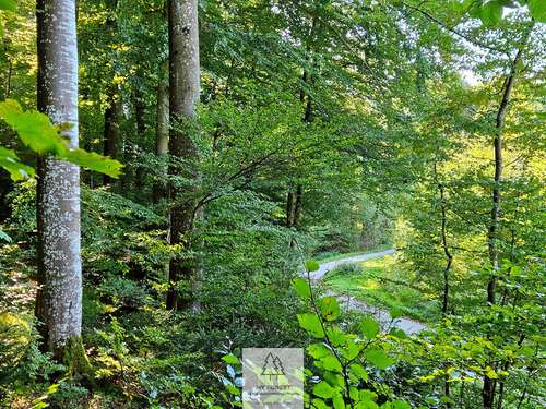 Foto - Grundstück in Baierbrunn 49.000,00 € 4630 m²