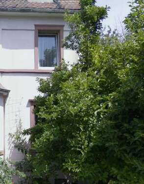 Foto - Haus zum Kaufen in Frankfurt am Main 1.020.000,00 € 350 m²