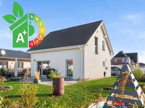 Foto - Haus zum Kaufen in Dümmer 350.000,00 € 123 m²