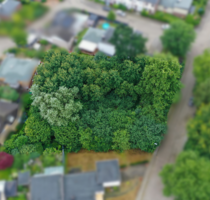 Grundstück zu verkaufen in Buxtehude 729.000,00 € 1666 m²