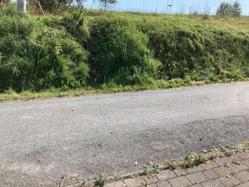 Foto - Grundstück zu verkaufen in Dürrröhrsdorf Dittersbach 140.000,00 € 980 m²