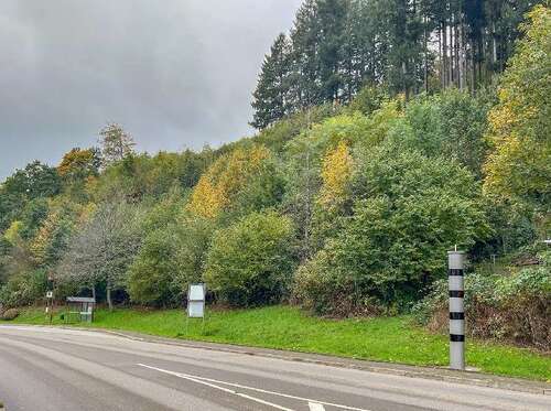Foto - Grundstück in Schenkenzell 129.000,00 € 2116 m²