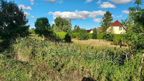 Foto - Grundstück zu verkaufen in Woldegk 21.650,00 € 866 m²