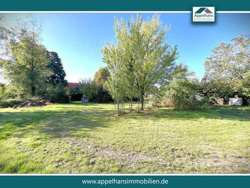 Foto - Haus zum Kaufen in Bramsche 584.900,00 € 443 m²