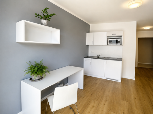 Foto - Wohnung zum Mieten in Potsdam 460,00 € 16.34 m²