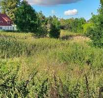 Grundstück zu verkaufen in Woldegk 37.225,00 € 1489 m²