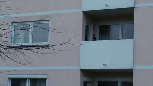 Foto - Wohnung zum Kaufen in Weinheim 135.500,00 € 39 m²