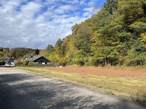 Foto - Grundstück zu verkaufen in Dimbach 78.000,00 € 606 m²