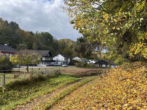 Foto - Grundstück zu verkaufen in Dimbach 78.000,00 € 606 m²