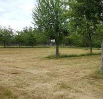 Grundstück zu verkaufen in Lindenfels 115.500,00 € 550 m²