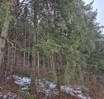 Grundstück in Dienhausen 98.000,00 € 18834 m²