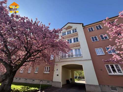 Foto - Wohnung zum Mieten in Chemnitz 240,00 € 41.43 m²