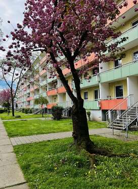 Foto - Wohnung zum Mieten in Magdeburg 375,60 € 56.06 m²