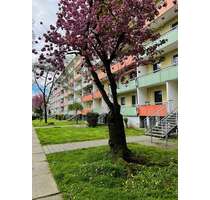 Wohnung zum Mieten in Magdeburg 375,60 € 56.06 m²