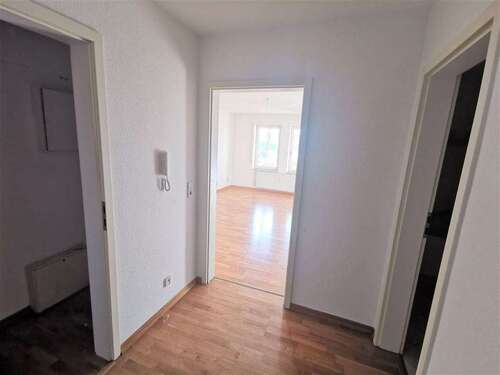 Foto - Wohnung zum Mieten in Chemnitz 240,00 € 40.66 m²