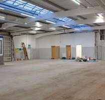 Halle in Swisttal 2.500,00 € 407.03 m²