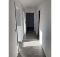 Wohnung zum Mieten in Salzgitter 390,00 € 56 m²