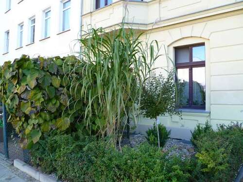 Foto - Wohnung zum Kaufen in Magdeburg 135.000,00 € 109.04 m²