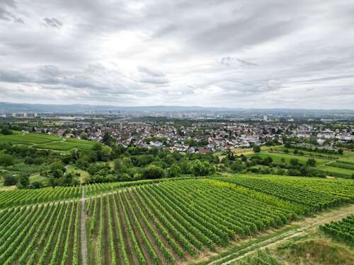Foto - Wohnung zum Kaufen in Weil am Rhein 139.500,00 € 73 m²