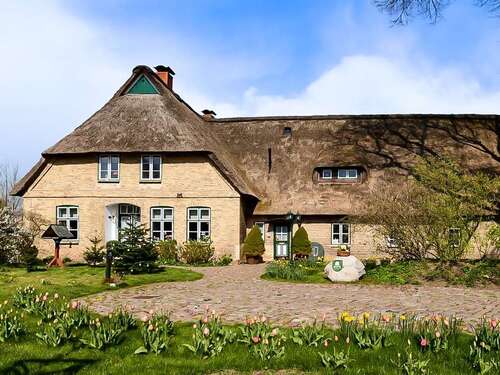 Foto - Haus zum Kaufen in Schafstedt 690.000,00 € 340 m²