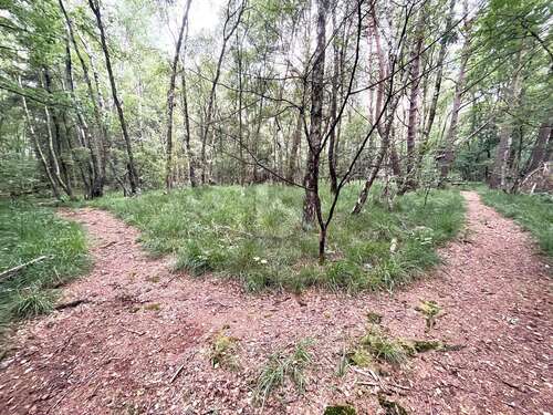 Foto - Grundstück zu verkaufen in Pinneberg 100.000,00 € 5634 m²