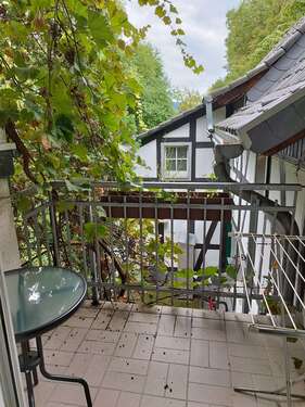 Foto - Wohnung zum Mieten in Bonn-Oberkassel 480,00 € 23 m²