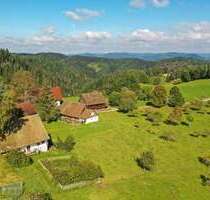 Haus zum Kaufen in Schiltach 3.450.000,00 € 100 m²