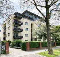Wohnung zum Mieten in Dresden 315,00 € 29 m²
