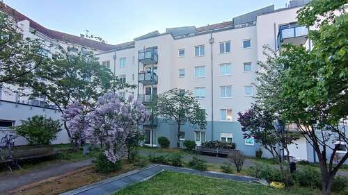 Foto - Wohnung zum Mieten in Dresden 375,00 € 34.14 m²