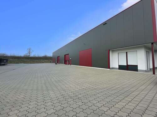 Foto - Halle in Legden 16.000,00 € 4000 m²