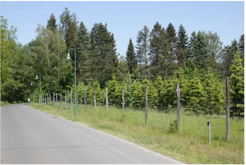 Foto - Grundstück zu verkaufen in Königs Wusterhausen 320.000,00 € 5140 m²