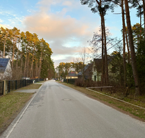 Grundstück zu verkaufen in Borkheide 179.000,00 € 1318 m²