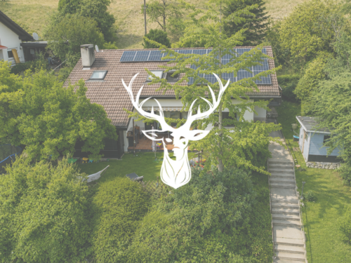 Foto - Haus zum Kaufen in Waldshut Tiengen 549.000,00 € 160 m²