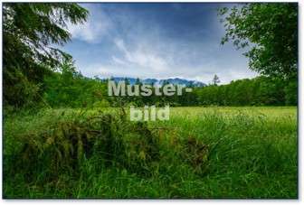 Foto - Grundstück zu verkaufen in Dernbach 190.000,00 € 21111 m²