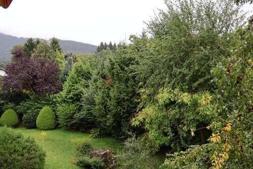 Foto - Wohnung zum Kaufen in Bad Kohlgrub 299.000,00 € 89.82 m²