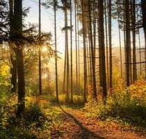 Grundstück in Hörstel 70.000,00 € 21821 m²