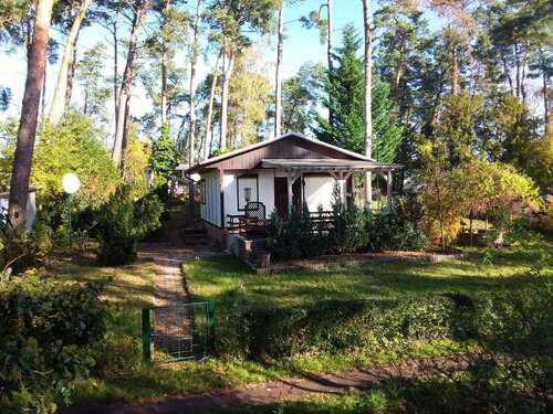 Foto - Haus zum Kaufen in Dannigkow 30.000,00 € 44 m²