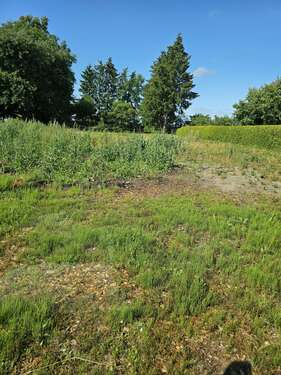 Foto - Grundstück zu verkaufen in Zickhusen 180.000,00 € 2500 m²