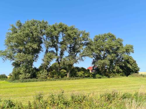 Foto - Haus zum Kaufen in Varel 165.000,00 € 178.16 m²