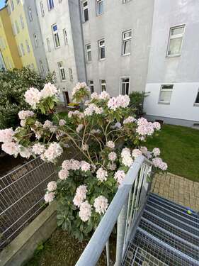 Foto - Haus zum Kaufen in Leipzig 1.750.000,00 € 812 m²