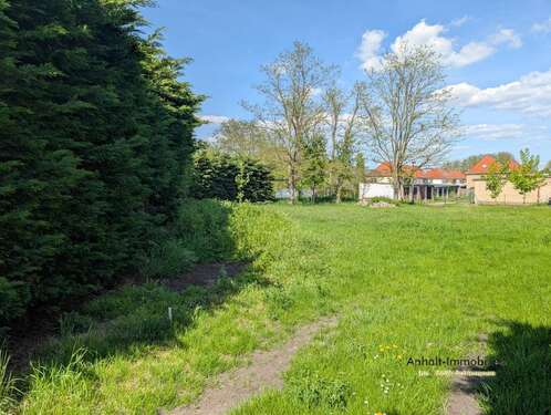 Foto - Grundstück zum Mieten in Bitterfeld 3.000,00 € 1170.6 m²
