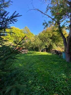 Foto - Haus zum Kaufen in Kranichfeld 145.000,00 € 195.2 m²