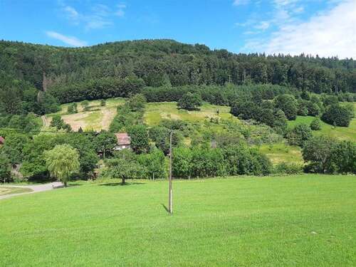 Foto - Spezialgewerbe in Berghaupten 899.000,00 €