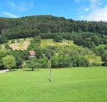 Spezialgewerbe in Berghaupten 899.000,00 €