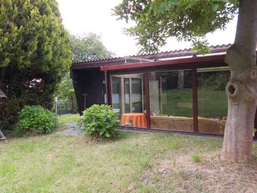 Foto - Haus zum Kaufen in Dahlen 45.000,00 € 49 m²